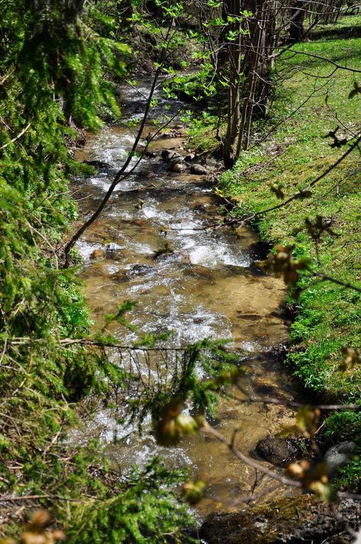 Vila Lomnicka Tatranská Lomnica Dış mekan fotoğraf